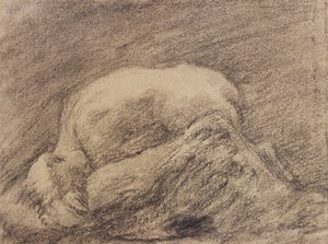 Een Studie van Rodin